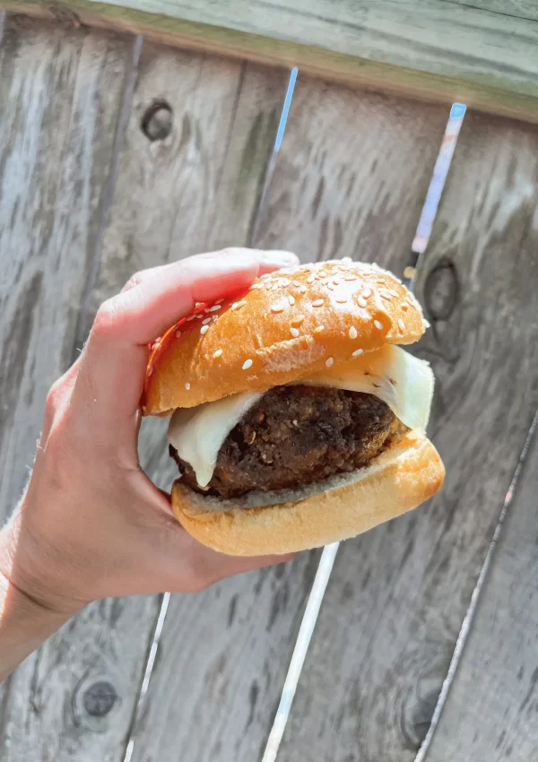 The Best 5 Ingredient Bison Burger Recipe