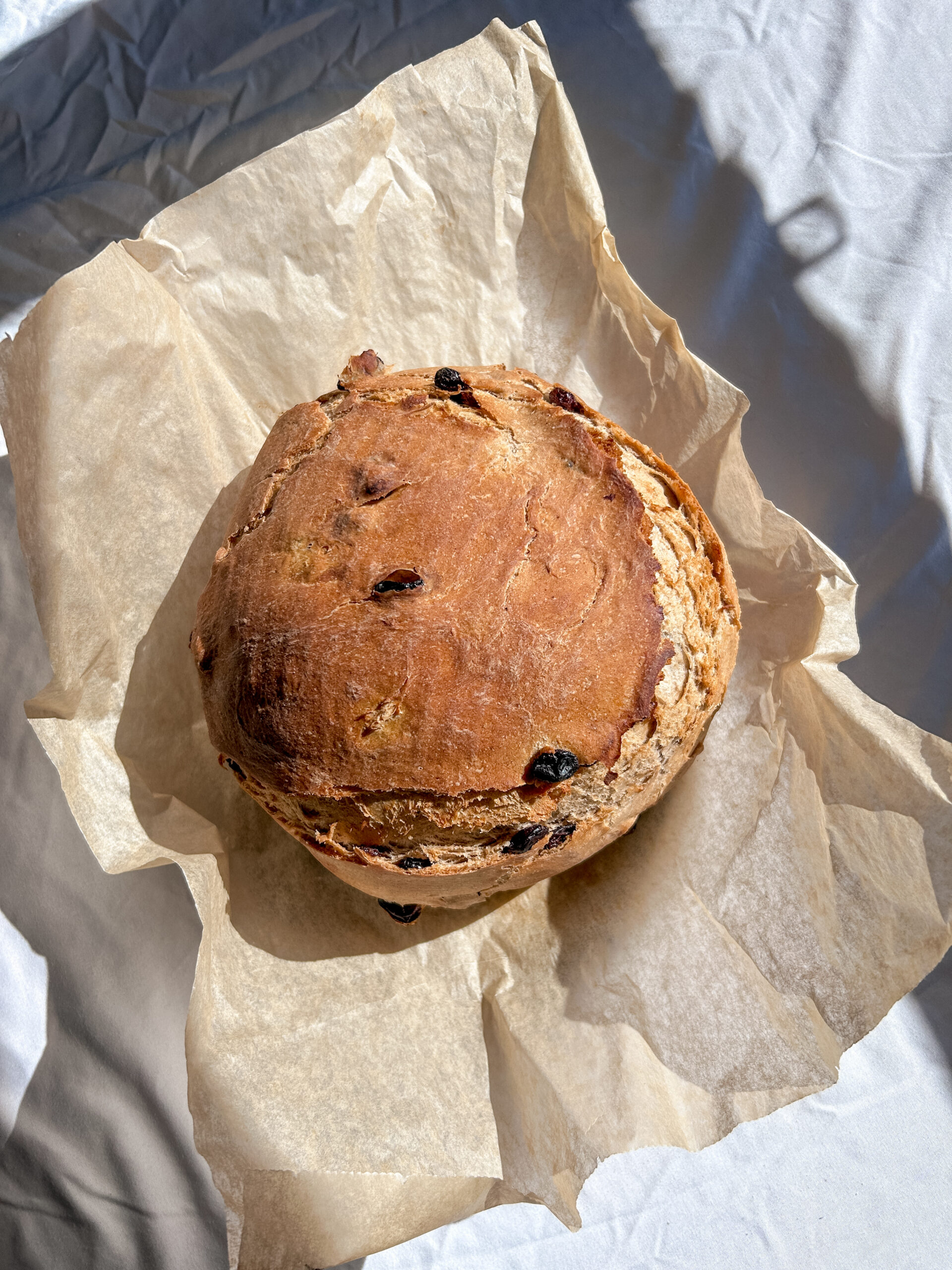 homemade cinnamon raisin bread baked in dutch oven