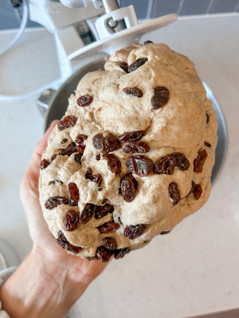 kneading raisins into homemade cinnamon raisin bread dough