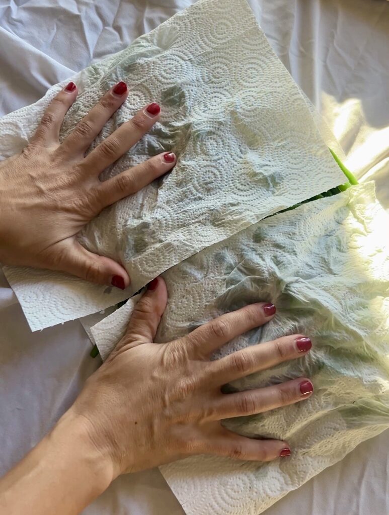 Patting green beans dry before wrapping with bacon