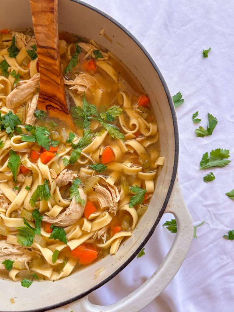 Stove top chicken noodle soup with tender chicken, vegetables, and egg noodles