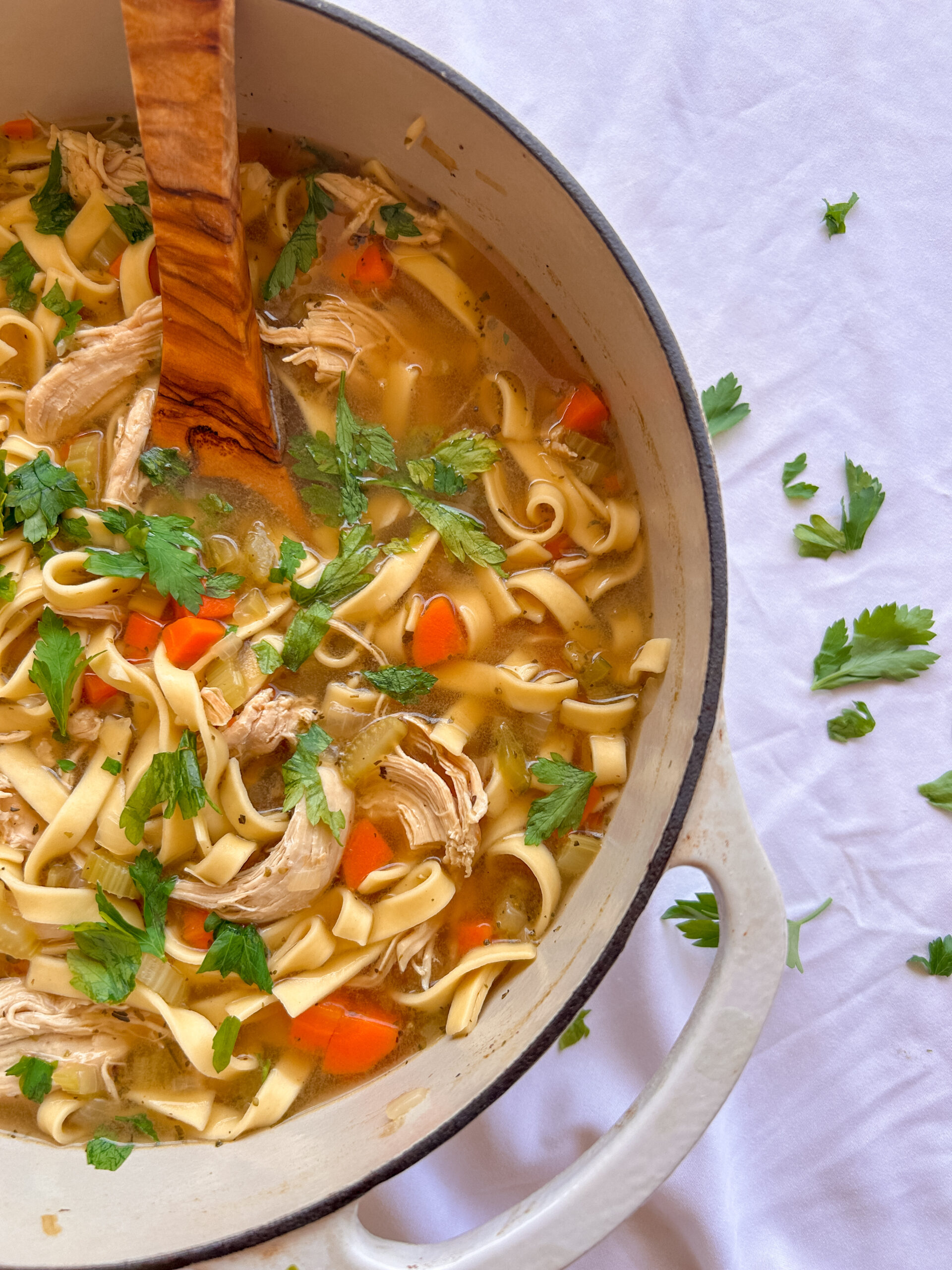 Stove top chicken noodle soup with tender chicken, vegetables, and egg noodles