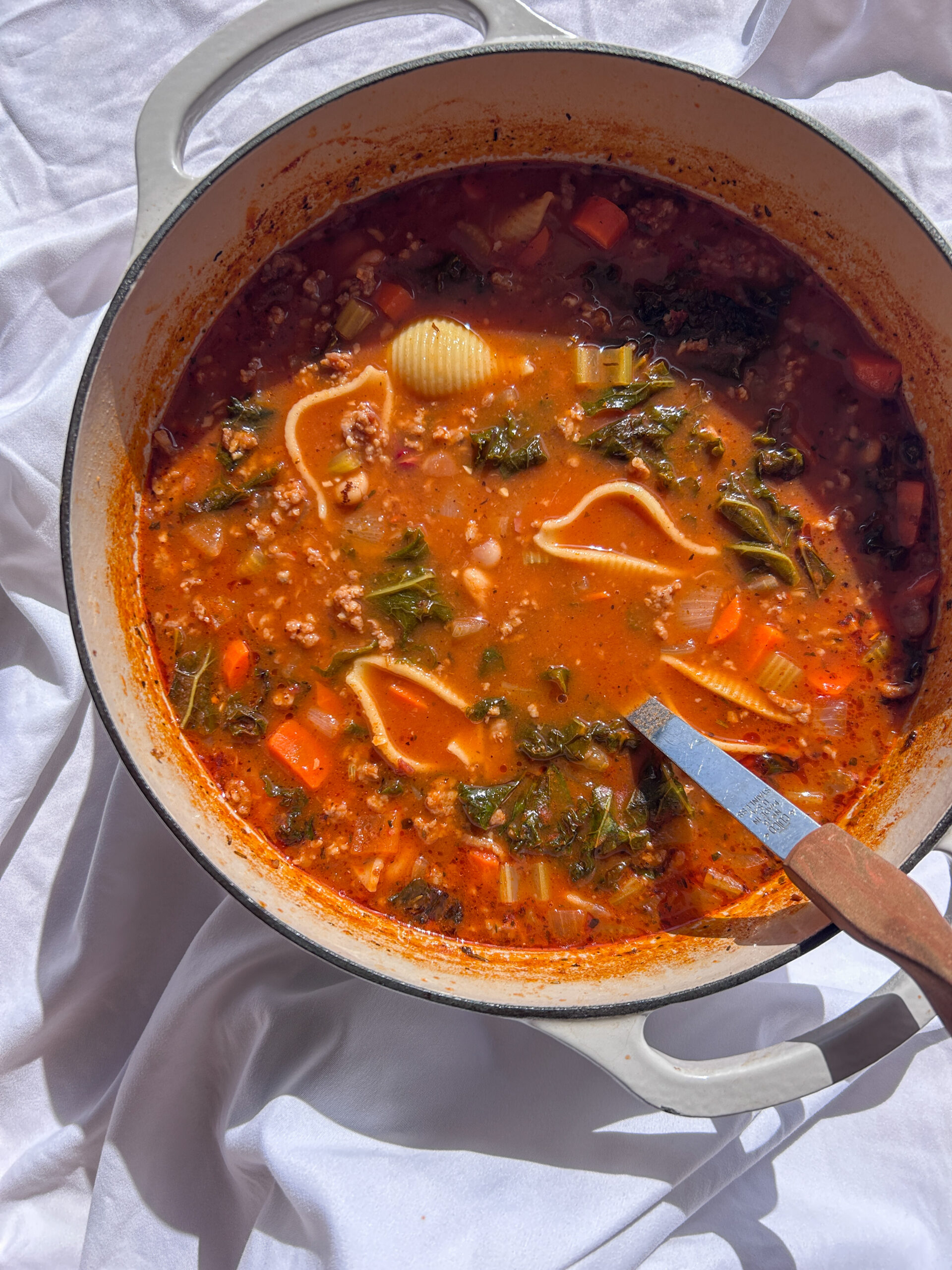 Traditional Italian pasta fagioli with beans, pasta, and sausage