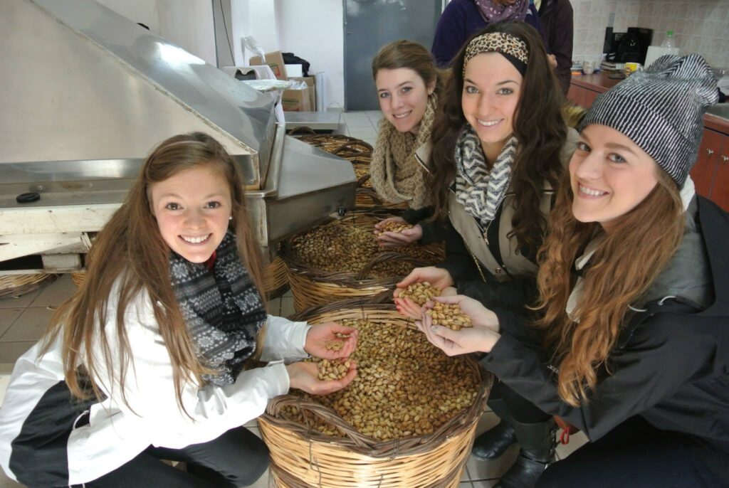 Experience photo of Kelsey studying abroad on a pistachio farm in Aegina, Greece